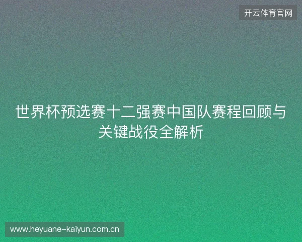 世界杯预选赛十二强赛中国队赛程回顾与关键战役全解析