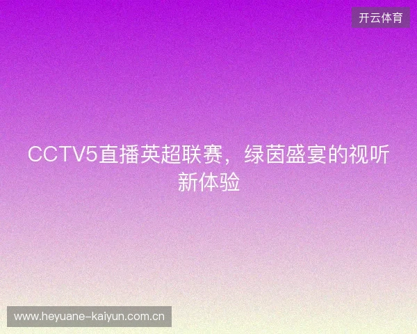 CCTV5直播英超联赛，绿茵盛宴的视听新体验